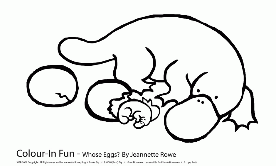 Download Platypus Coloring Page - Coloring Home
