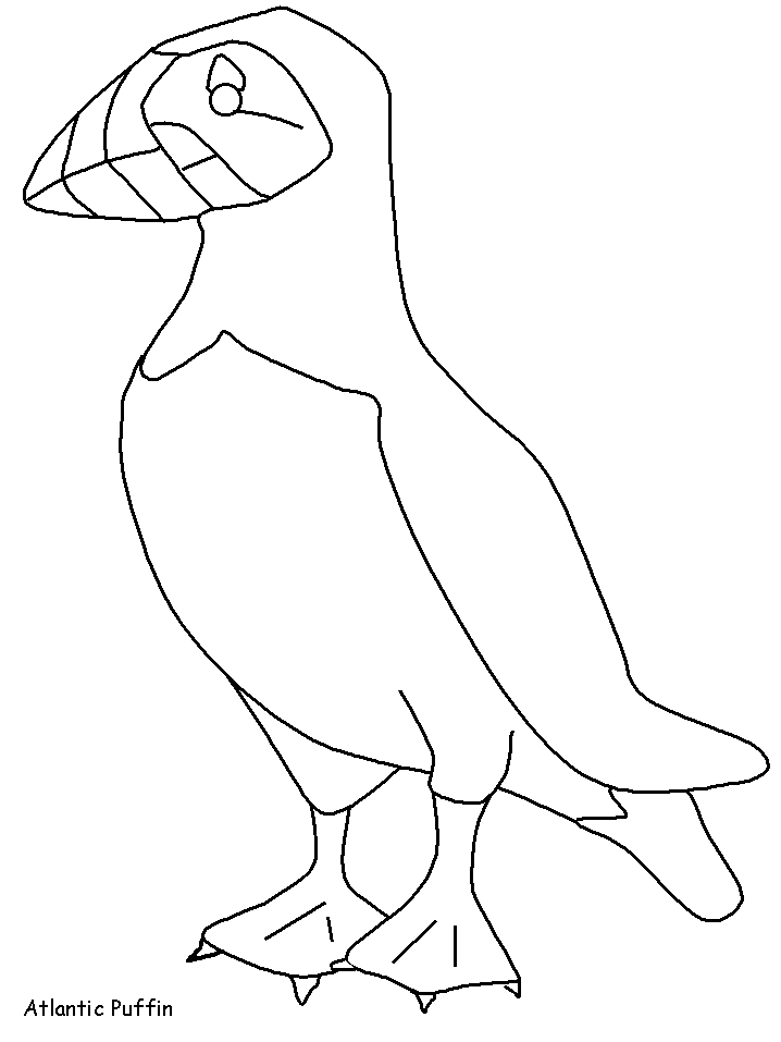Download Puffin Coloring Page - Coloring Home