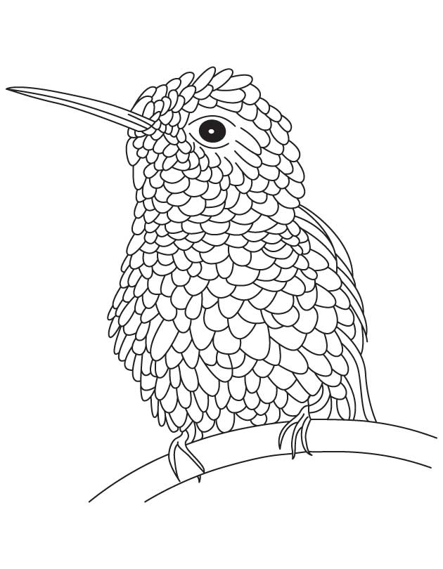 2865 ide coloring-pages-hummingbirds-21 Best Coloring Pages Download