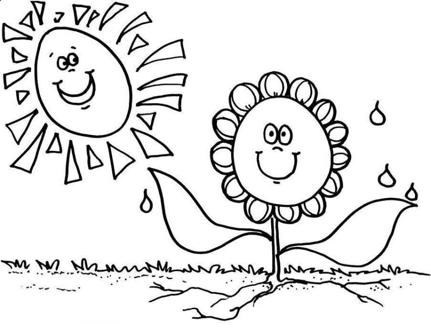 Print Sunflower First Day Of Spring Coloring Pages or Download 