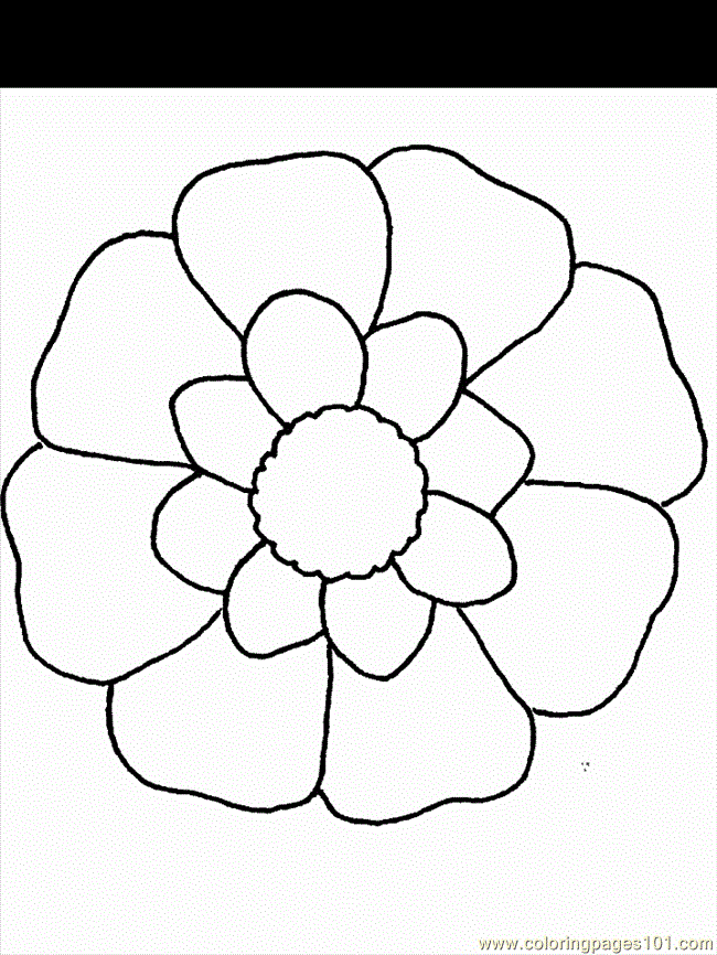 Coloring Pages Flower Coloring 17 (2) (Natural World > Flowers 