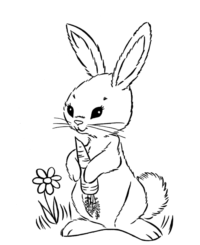 Print Cute Easter Bunny Eat Carrot Coloring Page or Download Cute 