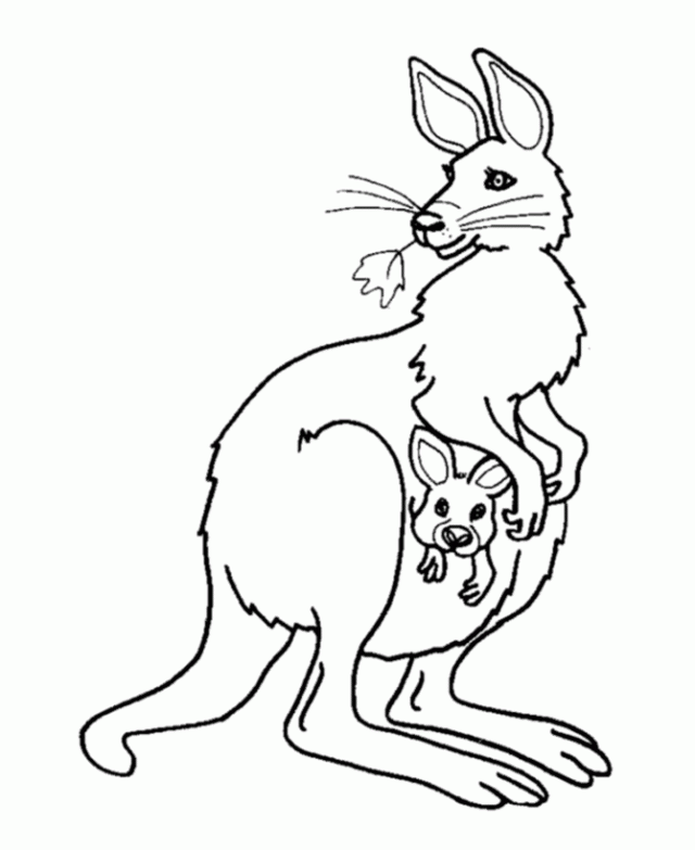 Female Kangaroo and baby coloring page | Coloring Pages