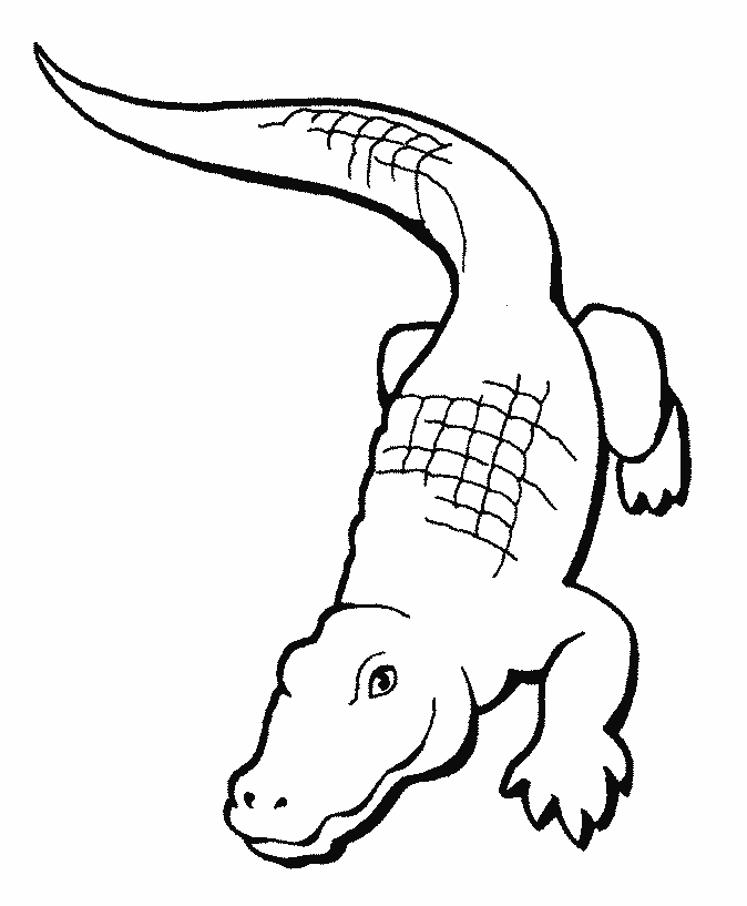 Free Crocodile Coloring Pages For Kids | Coloring Pages