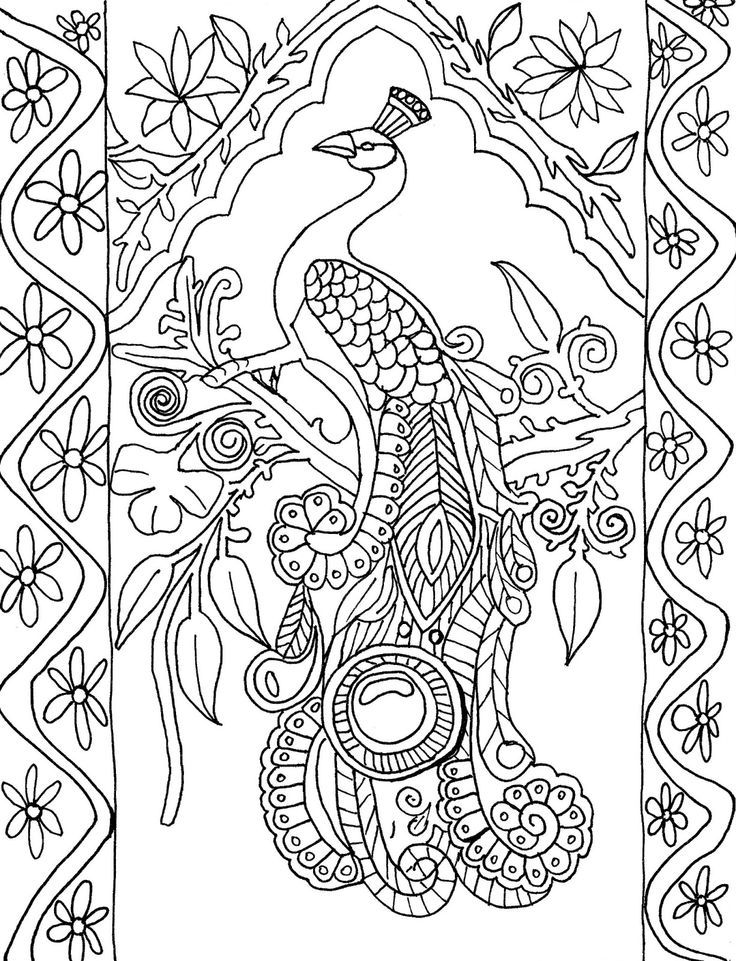 Coloring Page World: Peacock (Portrait) | Kids Crafts