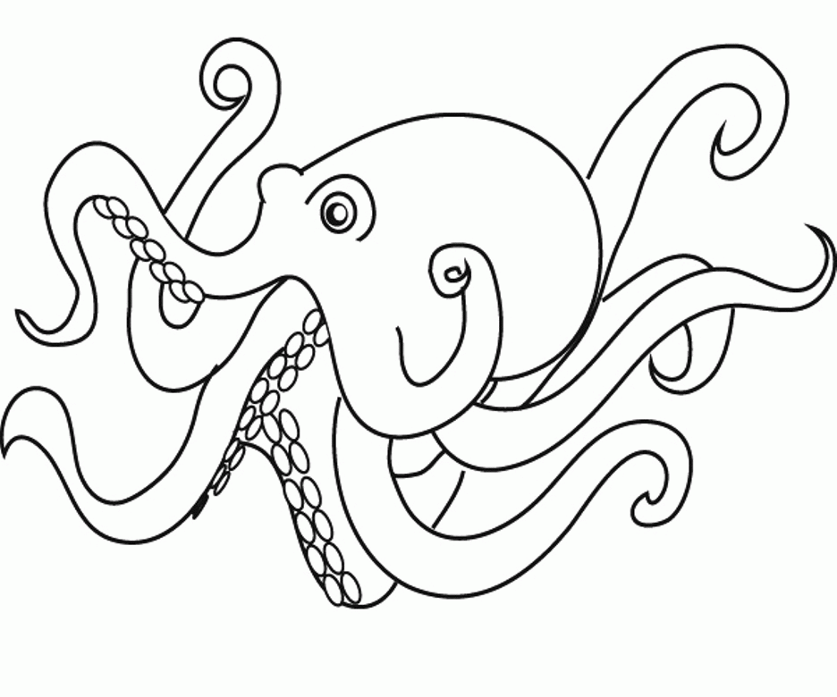 Download Animal Octopus Coloring Page Or Print Animal Octopus 
