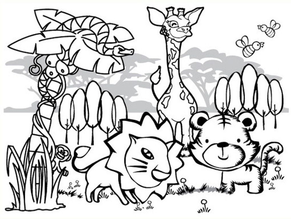 Animal Coloring Animal Coloring Rainforest Animals Coloring Pages 