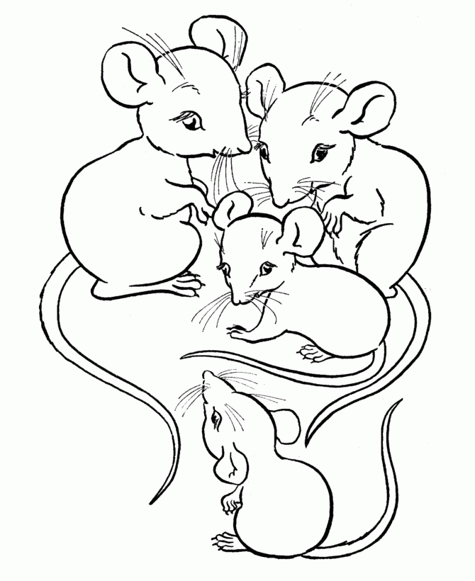 Animal Coloring Pages A   Z | Free coloring pages for kids