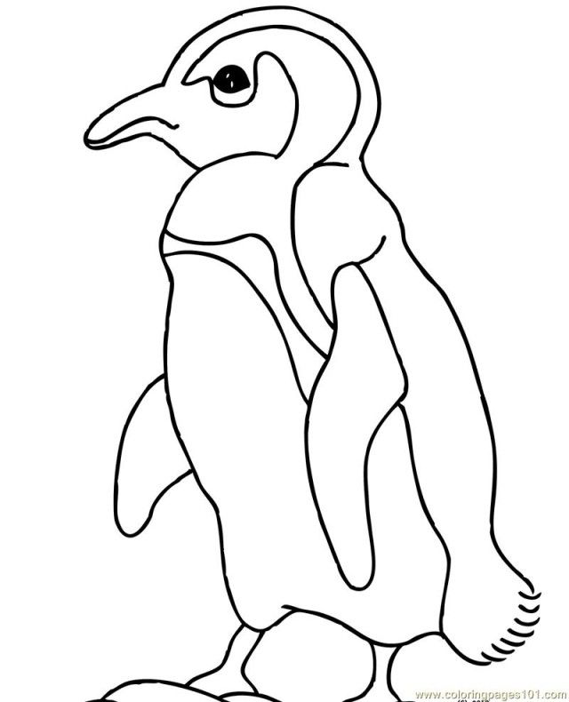 Amazing penguin coloring pages for kids | Coloring Pages