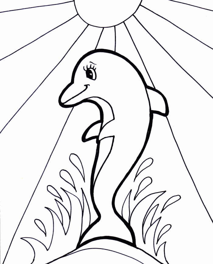 A Dolphin The Fish Leaping Perfect Coloring Pages - Dolphin 