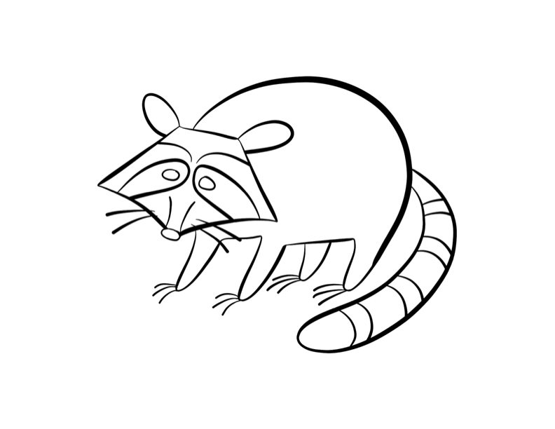Raccoon coloring page | ColorDad