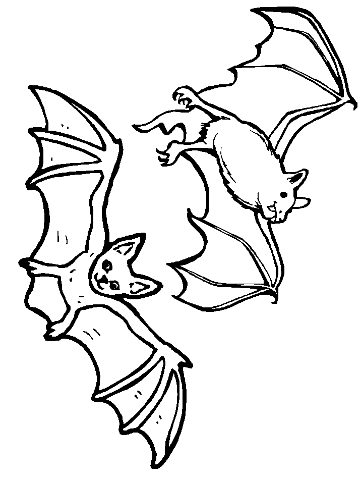 Bats 10 Animals Coloring Pages & Coloring Book