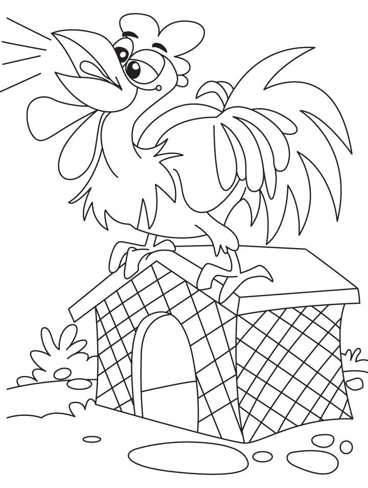 Rooster crowing on the coop coloring page | Download Free Rooster 