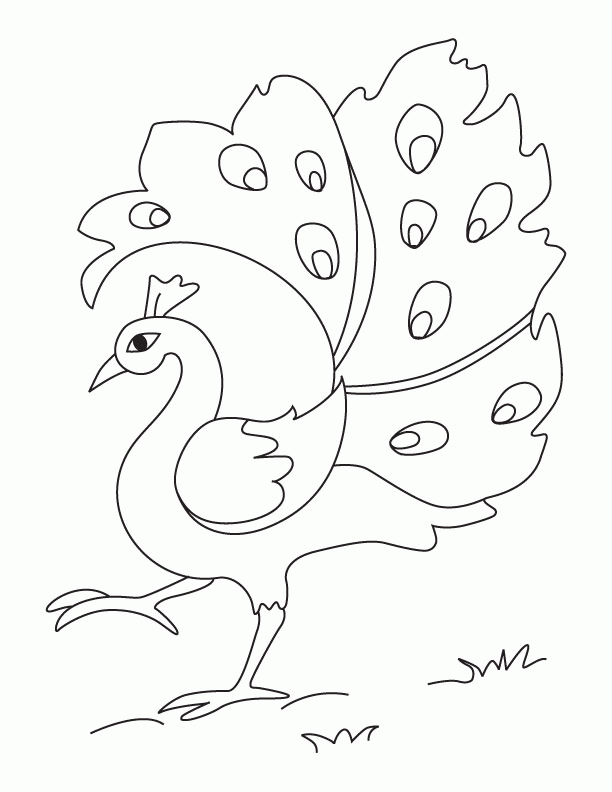 Peacock Coloring Pages For Kids - Coloring Home