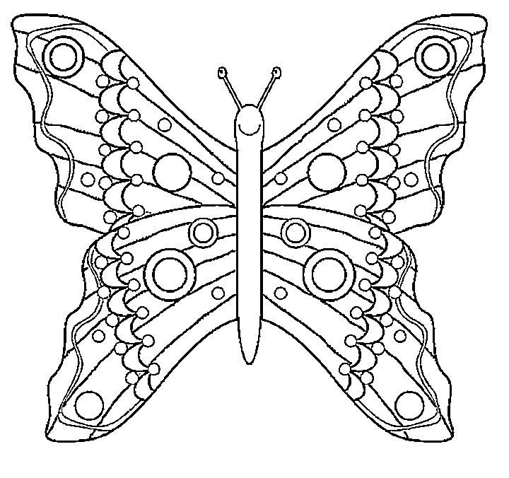 butterfly addition Colouring Pages