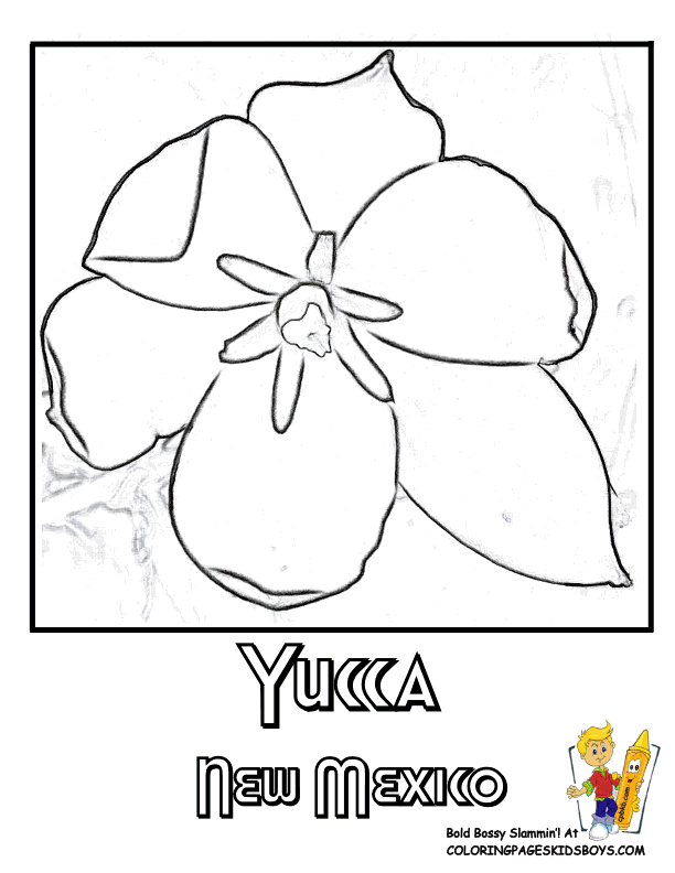 mexican flower Colouring Pages (page 2)