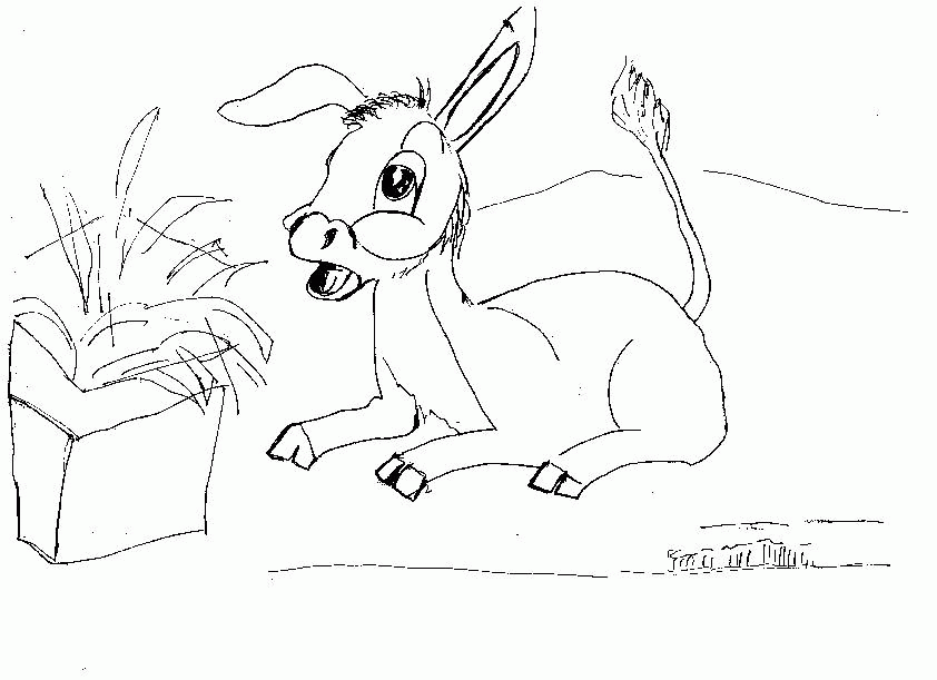 DONKEYS Colouring Pages (page 3)
