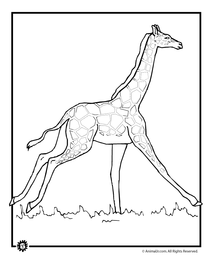 Running Cheetah Coloring Pages
