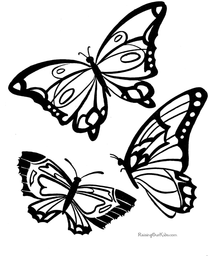 Free Coloring Pages Butterfly 284 | Free Printable Coloring Pages