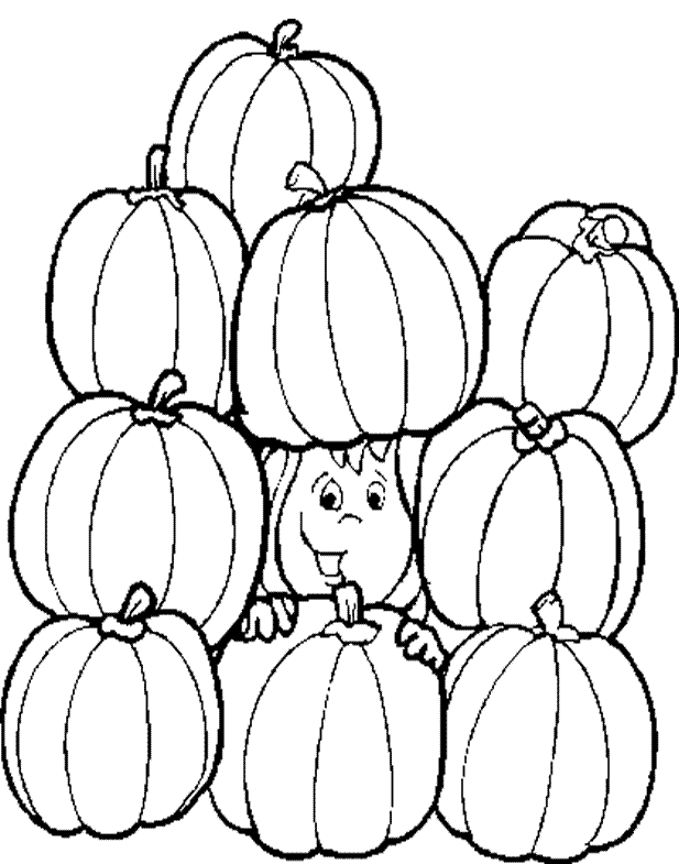 A Collection Of Pumpkin Fruit Coloring For Kids - Halloween 