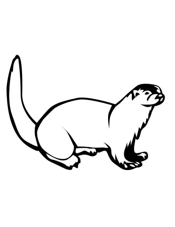 eps 13 otter printable coloring in pages for kids - number 2607 online