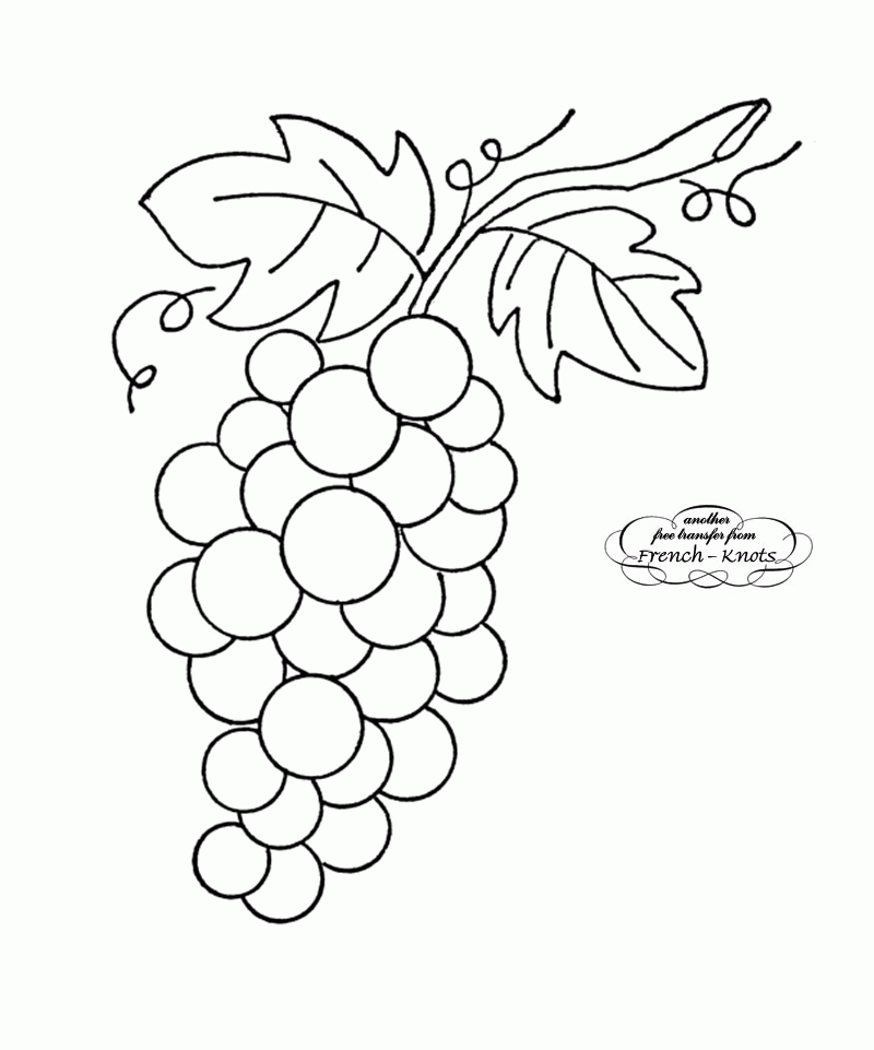 Download Picture Of Grapes - Coloring Home