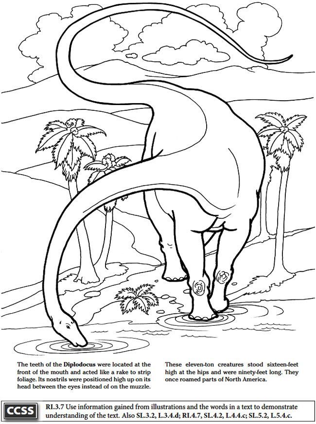 Diplodocus: Dover Publications sample | DINOSAURI / MOSTRI / ROBOT/HA…