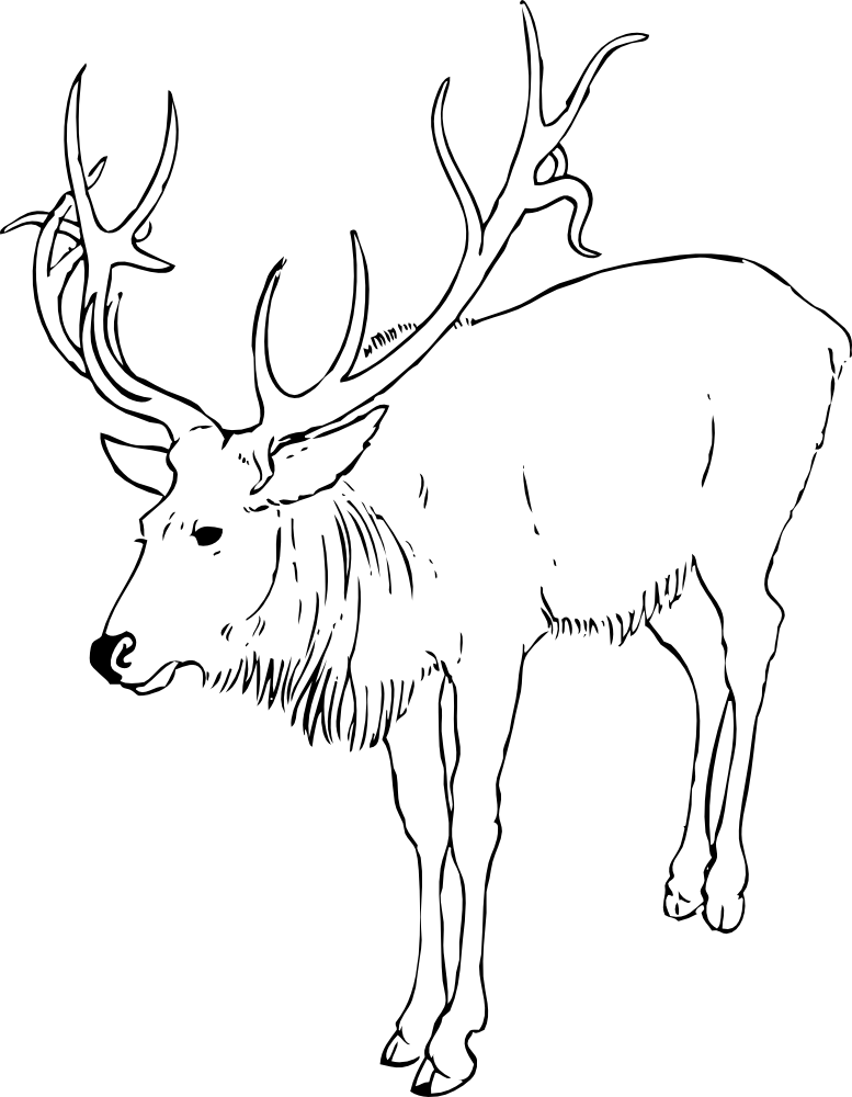 OnlineLabels Clip Art - Reindeer Stag