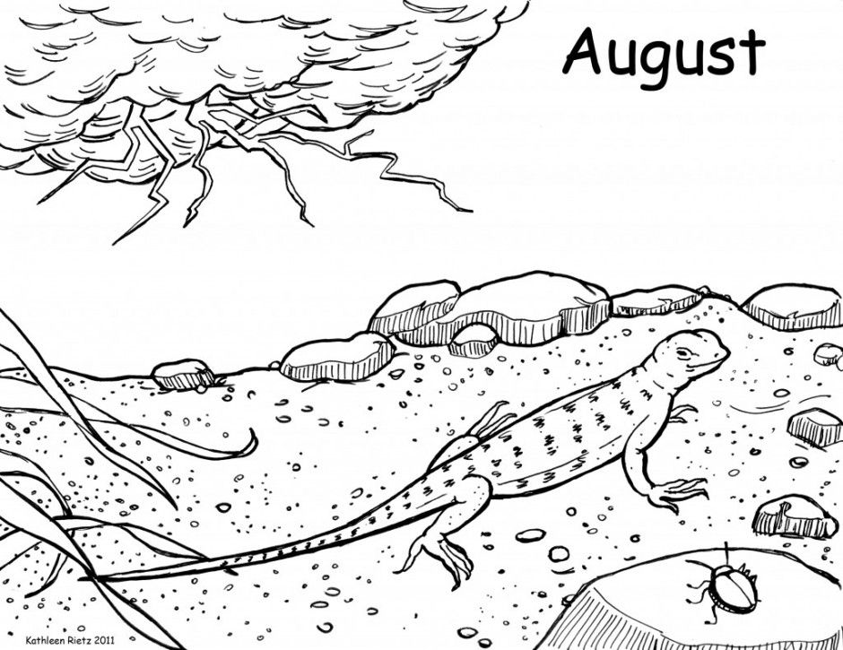 Iguana Coloring Sheet 121287 Iguana Coloring Pages For Kids