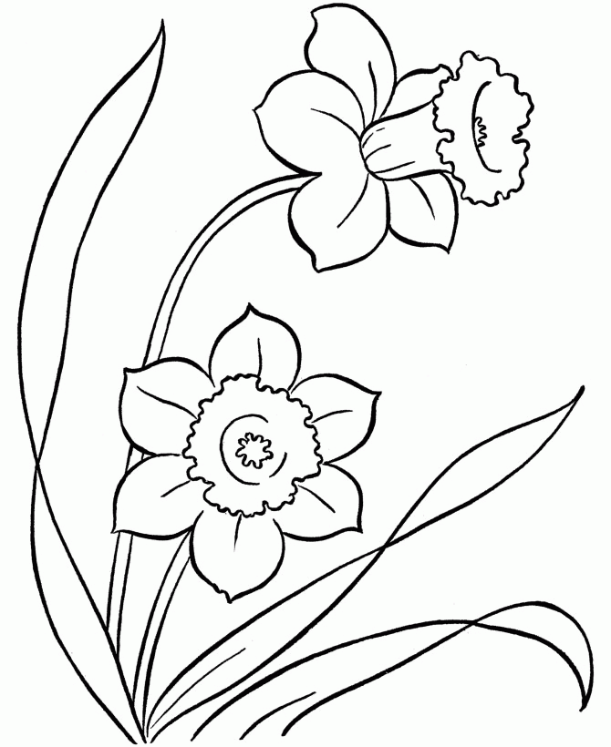 Coloring Pages Of Flowers For Kids - KidsColoringSource.