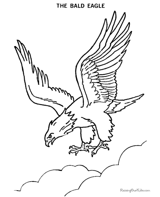 Bald eagle drawing and coloring pages | Loved