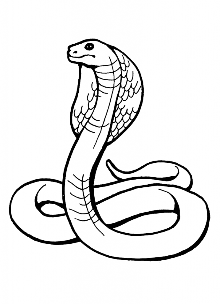 1334 ide Snake-Coloring-Page-Pictures Best Coloring Pages Download