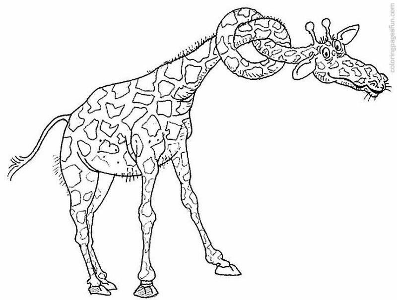 Giraffe | Free Printable Coloring Pages – Coloringpagesfun.com 