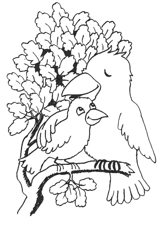 Bird Coloring Sheets | Free coloring pages