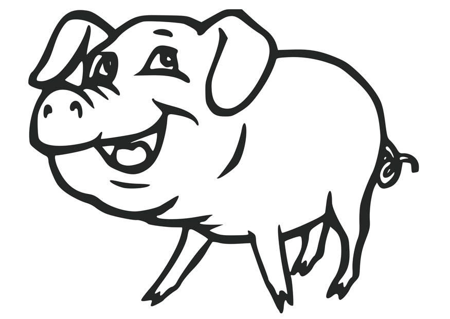 Animal Coloring Free Printable Pig Coloring Pages For Kids 