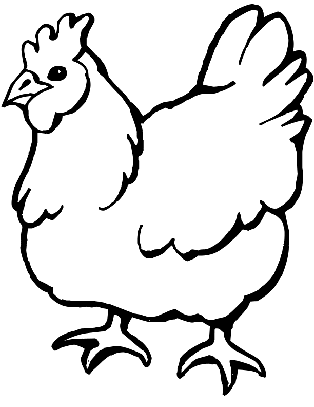 Chicken Pictures To Print Coloring Home