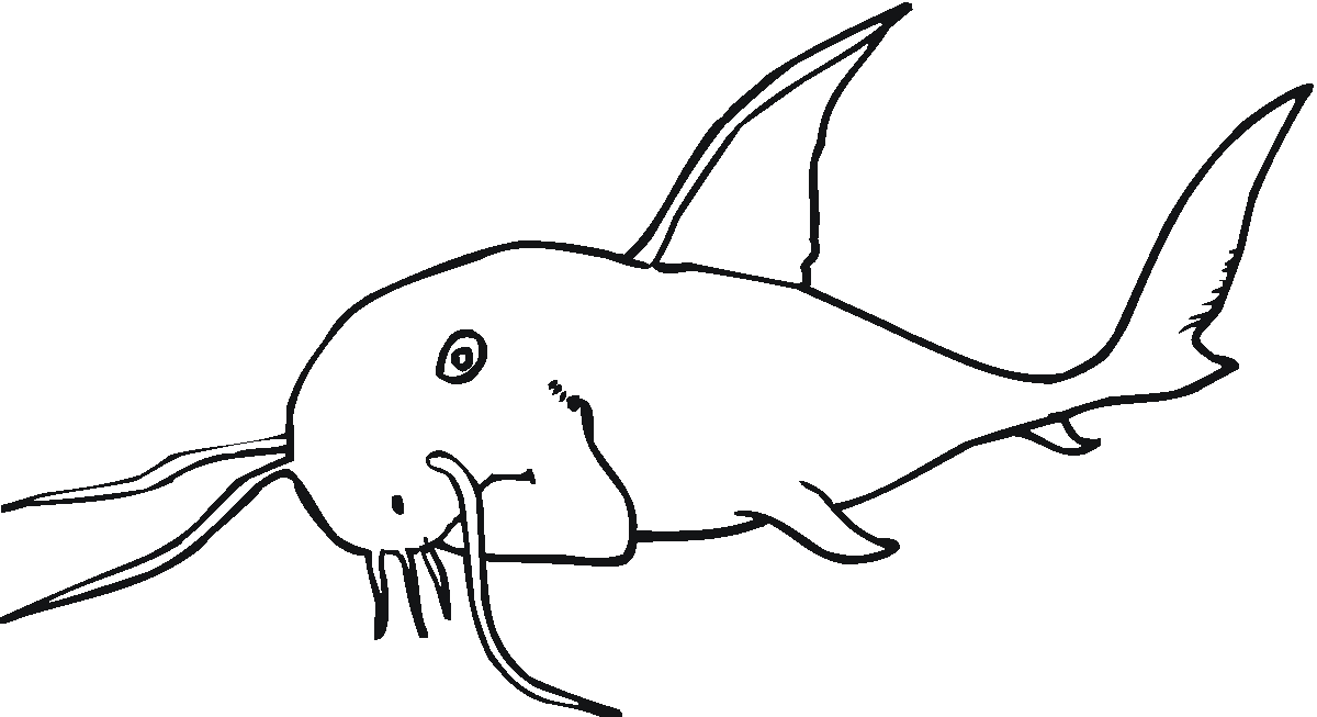 Catfish Coloring Page - Coloring Home