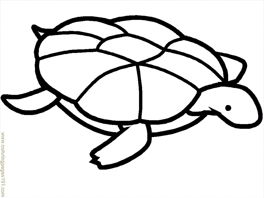 Coloring Pages Turtle Coloring Pages 10 (Reptile > Turtle) - free 