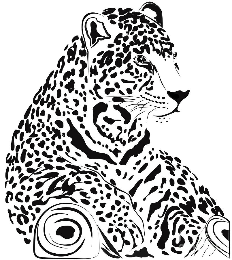 Jaguar by Carla Nichiata - Jaguar Digital Art - Jaguar Fine Art 