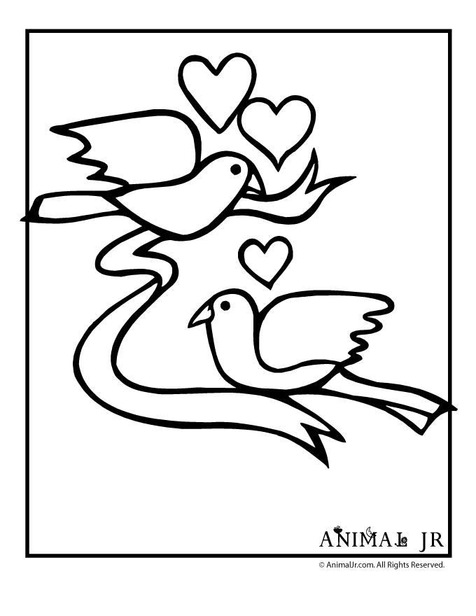 valentine coloring pages love birds page animal