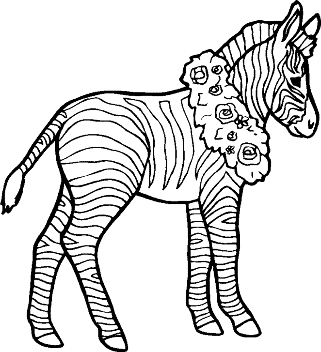 Zebra Color Pages - Coloring Home
