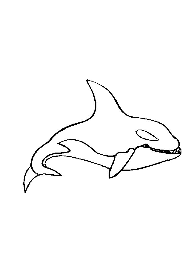 Sea animals Coloring Pages - Coloringpages1001.