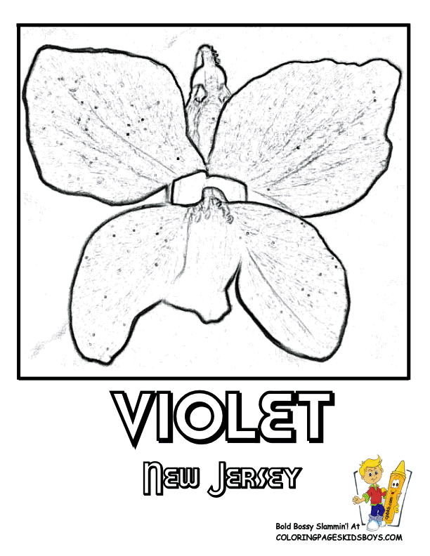 new jersey flower Colouring Pages