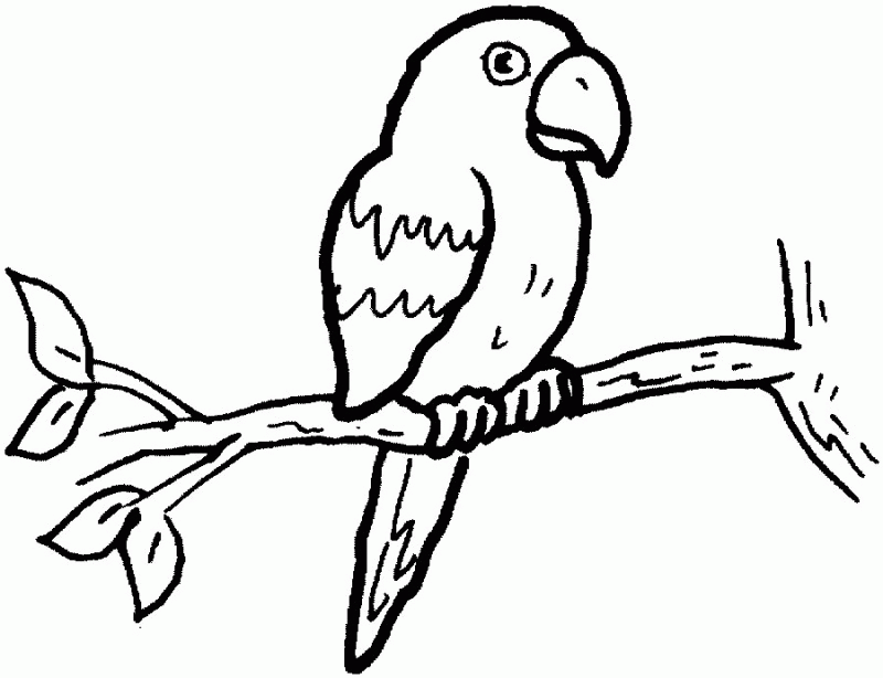 Parrot Pictures To Color - HD Printable Coloring Pages
