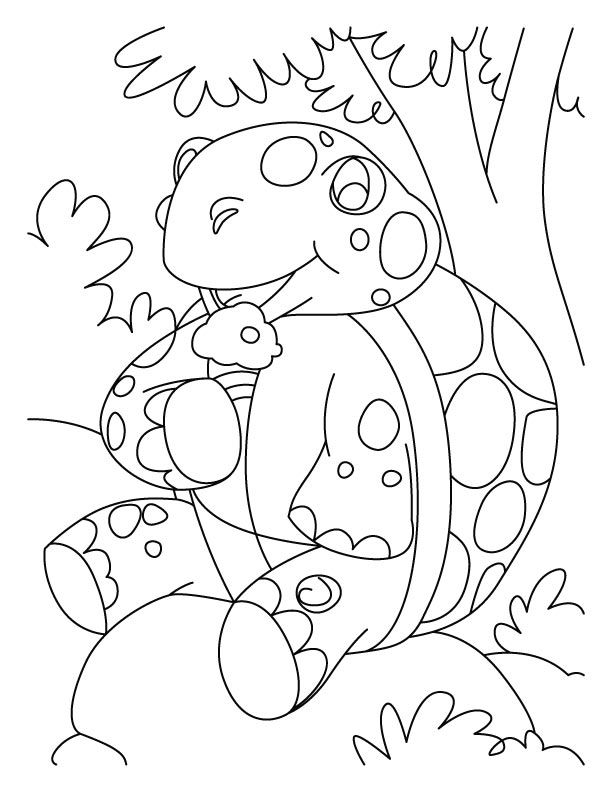 Resting Tortoise Coloring Pages | Download Free Resting Tortoise ...