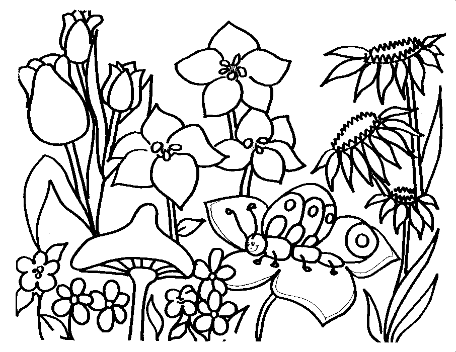 Advanced-Coloring-Pages-For- 