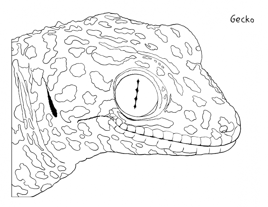 Gecko Games Coloring Pages