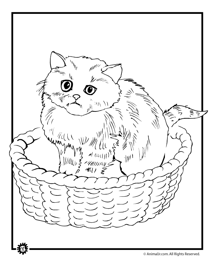 cat in basket Colouring Pages