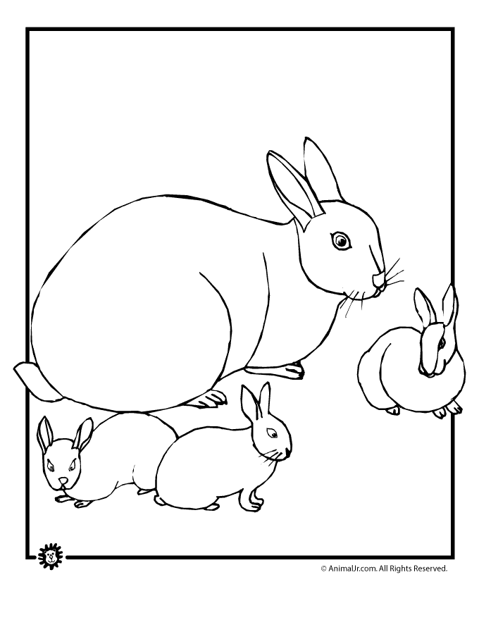 Search Results » Baby Bunnies Coloring Pages