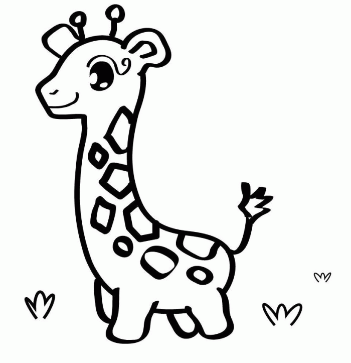 Cute Baby Giraffe Coloring Page - Animal Coloring Pages on 